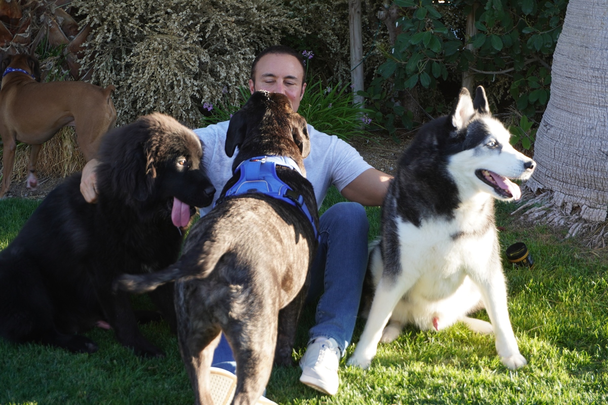 Furever Active Ranch — Giving dogs more healthy, happy years